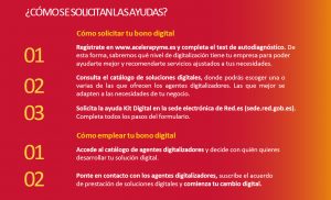 Solicitud ayudas kit digital