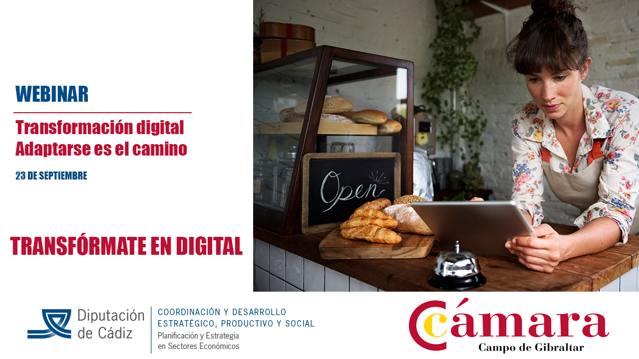 WEBINAR TRANSFORMACIÓN DIGITAL