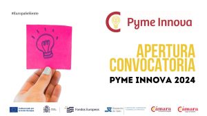 Apertura convocatoria Pyme Innova 2024