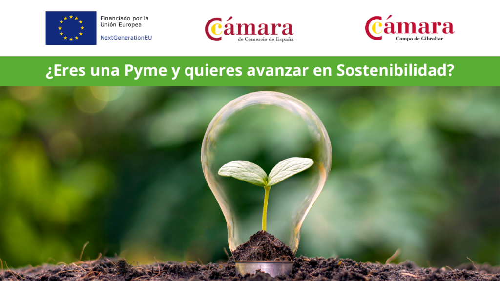 matriz-sostenibilidad-Cámara-Comercio