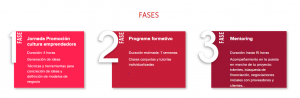 fases programa mk online incyde
