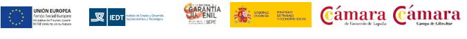 linea de logos adapado iedt 1.1