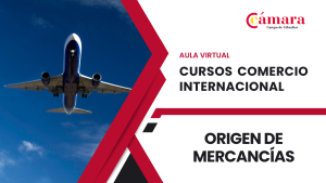 Importancia del origen de las mercancías Curso comercio exterior