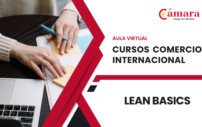 Curso comercio internacional Lean Basics