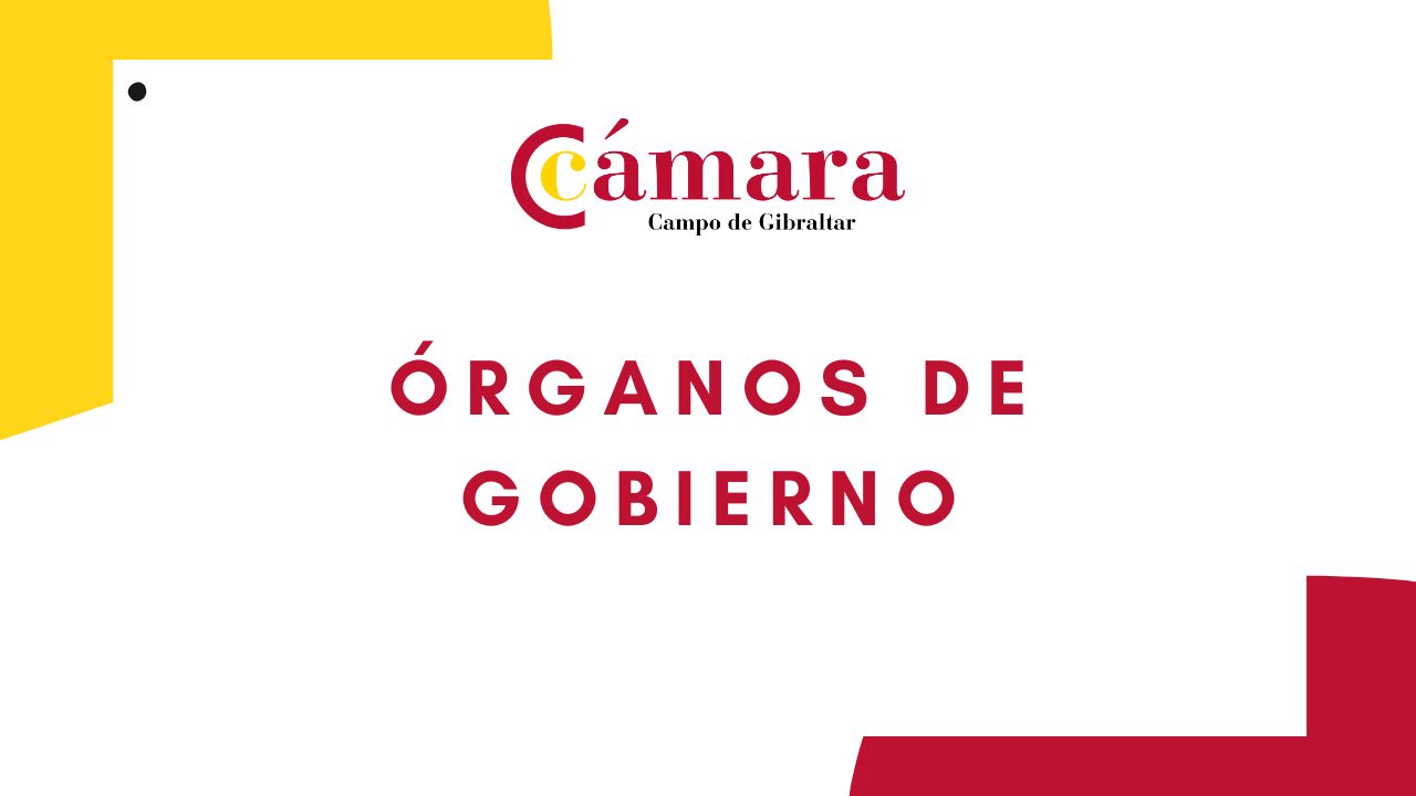 ÓRGANOS DE GOBIERNO CÁMARA COMERCIO CAMPO DE GIBRALTAR