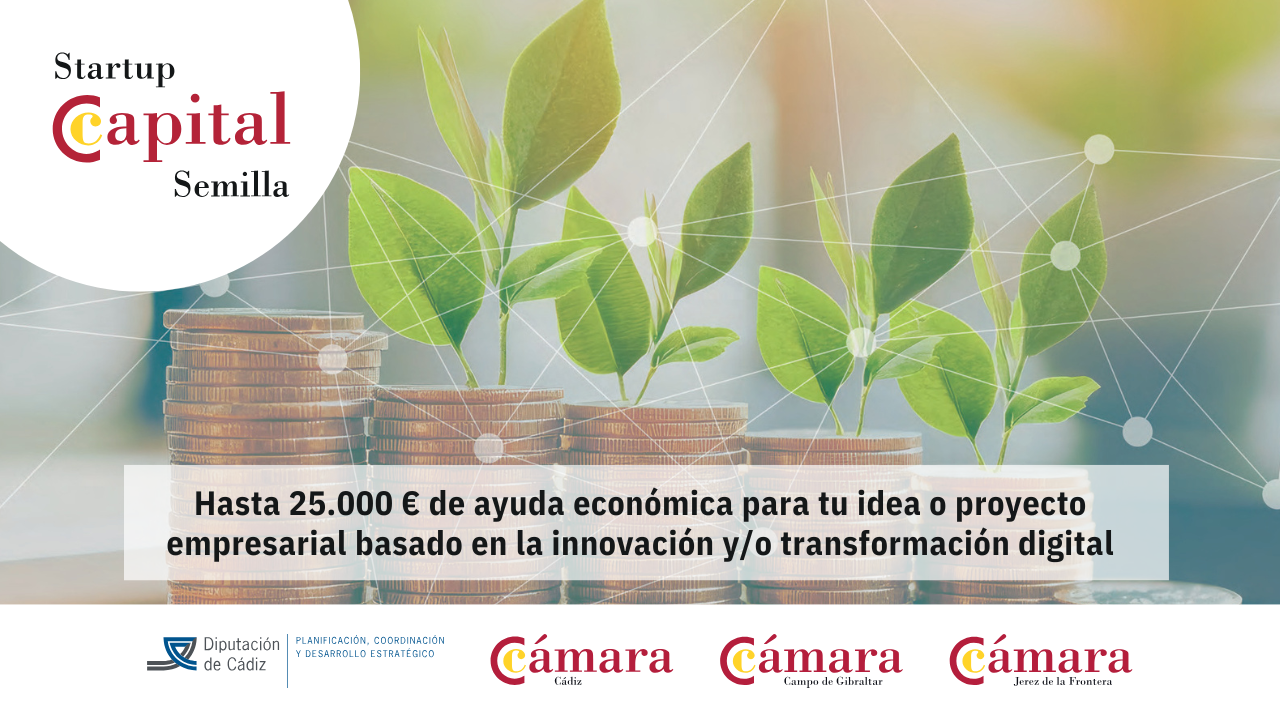 Convocatoria ayudas Pyme Digital 2025