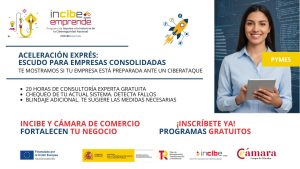 Programa para pymes Aceleración Exprés destinado a mejorar la ciberseguridad